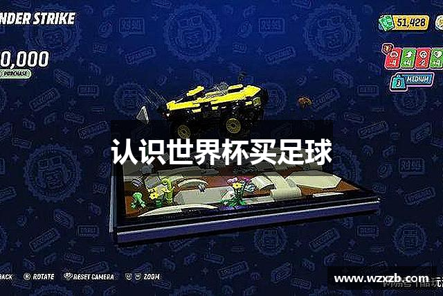 认识世界杯买足球